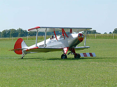 Kiebitz