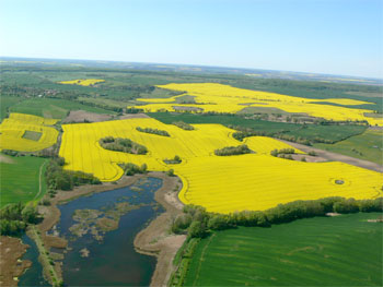 Schmiedeberg